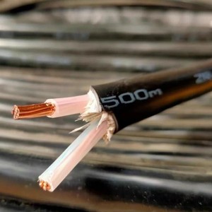 Kabel Daya <span class=keywords><strong>2</strong></span> Inti YJV Standar Nasional Inti Tembaga Bebas Oksigen PVC Tahan Api untuk Penggunaan Rumah & Teknik - Product Image 4