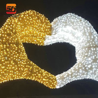 Lumière à motif de mains en forme de cœur DMX RGB programmable pour spectacle lumineux en parc