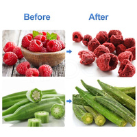 Hnoc Instant Koffie Dragon Fruit Mini Ananas Vriesdroog Snoep Aardbei Machine Voor Multifunctioneel