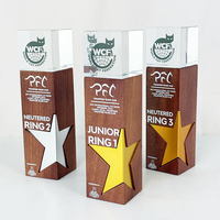 Nouveau trophée en métal en forme d'étoile à cinq branches, médailles en cristal, plaques de récompense avec photo pour les compétitions