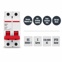 Disjoncteur miniature AC magnéto-thermique sur rail DIN Wanbo-479 1P 2P 3P 4P 6A 63A 6kA Courbe C