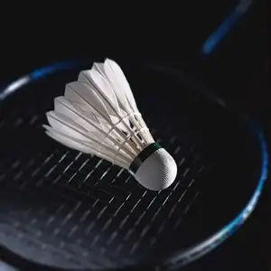 Duck Feather Badminton Shuttlecocks with Great Stability and Durability, High Speed Badminton Birdies