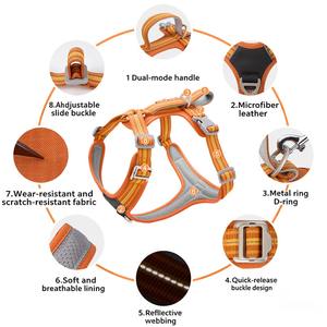 Collares y Correas para Mascotas con Logotipo Personalizado, Conjunto de Arnés para Perro con Luz Reflectante - Product Image 3