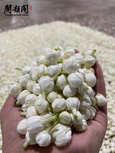 KAIYANGE nuevo producto té de jazmín seco orgánico té de flores más famoso de China té de jazmín GanLuPiaoXue - Product Image 4