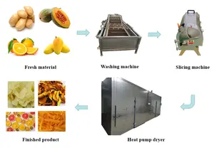Máquina profesional de secado de mango de 500-2000kg, secador de alimentos de frutas secas de albaricoque y fresa