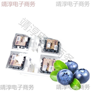 Boîte en mousse avec blocs réfrigérants pour myrtilles, baies de goji, framboises, livraison express, compartiments isolés - Product Image 4
