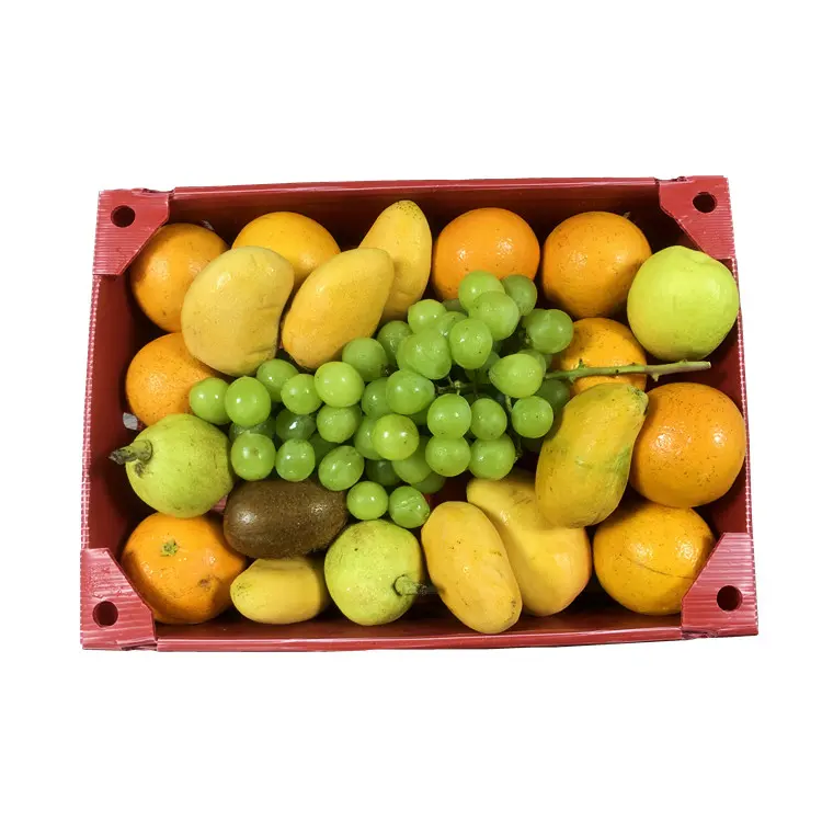 pp sheet fruit box customized rigid big folding pp corrugated plastic boxes for agriculture packaging
