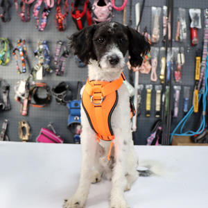 Conjunto de arnés y correa para perros personalizado al por mayor, chaleco reflectante para perros grandes sin tirones de nailon, conjunto de arnés y correa ajustable para adiestramiento de mascotas - Product Image 6