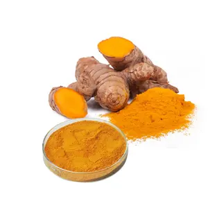 Sıcak satış yüksek kalite fabrika doğrudan zerdeçal kök ekstresi tozu 100% curcumin