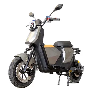 จักรยานยนต์ไฟฟ้า60V รถจักรยานยนต์ไฟฟ้า12นิ้ว2500วัตต์พร้อม EEC zertifikat