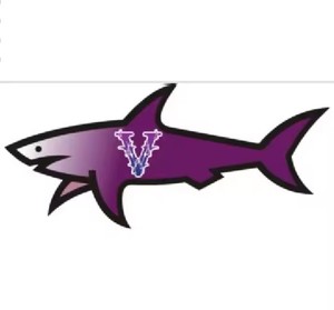 สติกเกอร์ตกแต่งลายธง Paul Shark แบบกำหนดเอง เคลือบเงา ของขวัญส่งเสริมการขาย สติกเกอร์กาว - Product Image 4