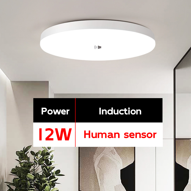 12W [Human Sensing] White Light