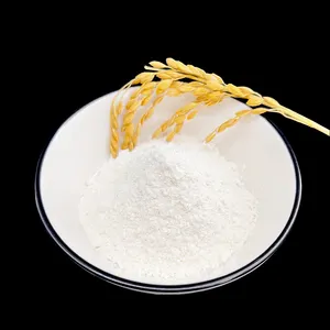 RICI Natural Rice Bran CAS 11042-64-1 Pure Raw Material Supplement Rice Bran Extract Powder Oryzanol