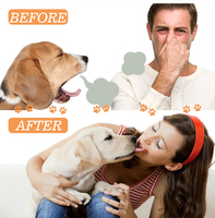 Spray buccal pour animaux de compagnie, chiens et chats, formule naturelle à base de plantes, sans alcool, soin dentaire pour chiens et chats, rafraîchisseur d'haleine, nettoyage des dents, en stock