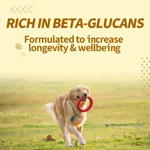 Factory-Batch Suppléments de soins de santé pour animaux de compagnie Vitamine Multivitamine Nutrition Pâte pour chats et chiens sous forme de poudre - Product Image 6