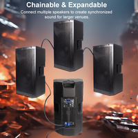 NOUVEAU Amplificateur DSP Haut-parleurs Bluetooth actifs 1000W Subwoofer Grand format 12 pouces 15 pouces Enceinte de fête sans fil Bluetooth alimentée