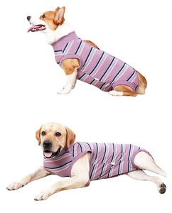 Traje Quirúrgico de Recuperación para Perros y Gatos, de Algodón Suave y Transpirable, Anti-Lamido, Protector de Heridas para <span class=keywords><strong>Esterilización</strong></span>/Castración, OEM - Product Image 3