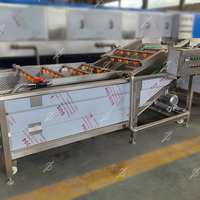 Middelgrote ultrasone ozonwasmachine met paddenstoelvormige belletjes voor het wassen van groenten en fruit
