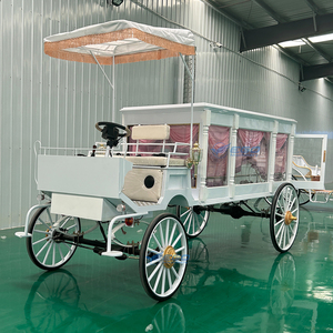 2025 Voiture funéraire électrique de style cercueil, design moderne et de haute qualité, prix bas - Product Image 6