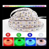 Bandes lumineuses LED DC12V/24V SMD5050 60 LED RGBW 4-en-1 Dimmable Flexible 12mm IP65