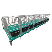 Cage de gestation modulaire en acier galvanisé de 2,2 m pour truies, avec plancher à lattes et mangeoire, pour ferme