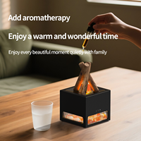 Diffuseur d'arômes OEM pour la décoration intérieure, foyer 3D, humidificateur à pierre de sel de l'Himalaya, diffuseur d'huiles essentielles rétro unique
