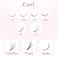Fournisseur de cils de Volume russe Premium Pro Made, fibre PBT, fans de promades amples, 5D 14D 20D