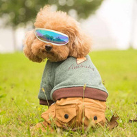 Lunettes de soleil tendance créative pour chat Lunettes laser pour chien Accessoires pour chien Lunettes de protection multicolores pour chien et chat