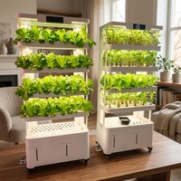 Système de culture hydroponique verticale intelligent pour légumes, sans sol, à usage domestique, multi-niveaux, pour la culture de semis avec arrosage intégré