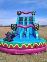 Offre Spéciale piscine gonflable extérieure commerciale de glissière d'eau de double ruelle matériel de PVC de capacité de 12 personnes garantie de 3 ans pour