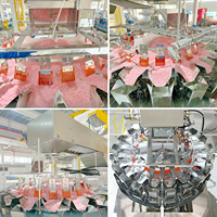 Ligne de production automatisée intelligente et écologique pour le thé assaisonnement granules moteurs à économie d'énergie moteurs verre chimique