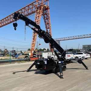 מנוף עכביש זחלי נייד נשלט מרחוק, קומפקטי, הידראולי, בעל זרוע טלסקופית, דגם RST L-244, בעל כושר הרמה של 2 טון, 4 טון, 3 טון, עם גובה הרמה של 6.5 מטר, 10 מטר, 15 מטר. - Product Image 2