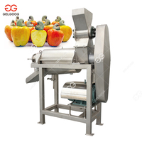 Gelgoog 500Kg Automatische Cashew Appelsap Verwerkingslijn Plant Ananassap Productielijn