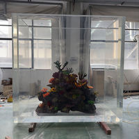 Aquarium rectangulaire en acrylique sur mesure, transparent, 5L, élégant pour usage intérieur, Guppy 10W 110-240V, manuel