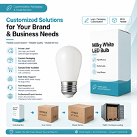 Ampoule LED à filament de verre ST45/ST14, CRI90, dimmable, 2W, culot E26/E27, température de couleur 2200K-6000K, certifiée CE, pour une utilisation multi-scènes