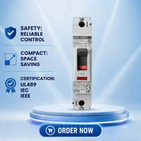 Disjoncteur LS MCCB conforme aux normes UL489, IEC60947-2, EQ & SQ Nuclear Specs, disjoncteur moulé de classe mondiale pour la distribution d'énergie 2P 100A 65KA