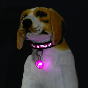 एलईडी बिल्ली कुत्ते पशु सहायक उपकरण धातु कैरबिनर पालतू कॉलर पट्टा गोल पेंडेंट क्लिप के साथ प्रकाश प्लास्टिक टैग की आपूर्ति करते हैं - Product Image 6