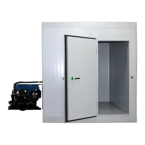 Cold Room Mobile Walk In Freezer Storage Container Solar Power Cold Storage Room