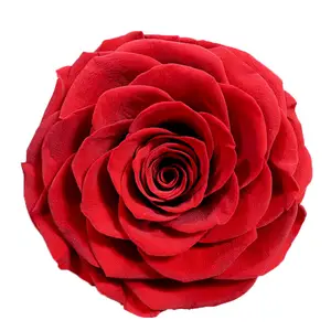 Оптовая продажа, высокое качество, красивые 7-8 см, класс А, большие розы, сохраненные цветы для коробки