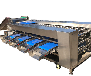 Ligne de tri et de calibrage automatique haute performance pour kiwis, pommes de terre, courgettes, tomates, concombres et oignons, en acier inoxydable 304 - Product Image 5