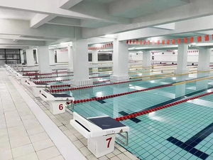 Dành cho người lớn bền sợi thủy tinh cao hồ bơi nền tảng 300mm trên mực nước với nhựa sạch hơn và bắt đầu từ khối - Product Image 6