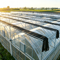 Serre polytunnel gothique tropicale préfabriquée GY pour culture hydroponique de tomates, champignons et légumes, serre à toit dentelé d'occasion à vendre