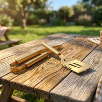 Ensemble d'accessoires de barbecue en acier inoxydable doré résistant à la chaleur, 2 pièces, outils portables, kit d'ustensiles