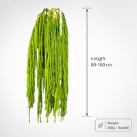 Bunga Amaranthus Kering Gantung yang Diawetkan dengan Gliserin, Batang Dekoratif untuk Pernikahan, Wisuda, Hari Valentine