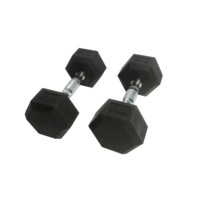Set Dumbbell Hexagonal Berlapis Karet dengan Pegangan Knurled Krom untuk Gym Rumahan