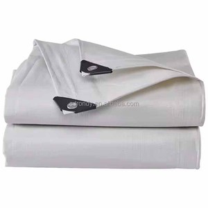 Khả năng chống rách cao không thấm nước Tấm bạt <span class=keywords><strong>polyethylene</strong></span> màu xanh cho hạt phơi nắng - Product Image 1