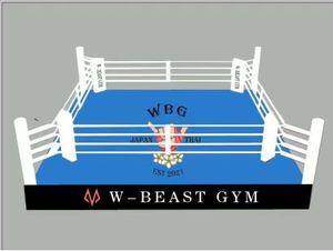 Ring de Boxe Professionnel pour Entraînement en Salle de Sport, avec ou sans Table - Product Image 3