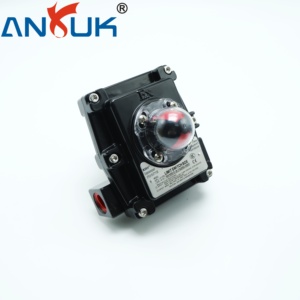 Chuyển đổi giới hạn hộp ROTARY thông tin phản hồi cơ khí chỉ số IP68 bảo vệ kép spdt liên hệ với 5A 250VAC sử dụng trong quá trình tự động hóa SYS - Product Image 6