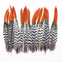 Plumes de Faisan en Gros, Plumas De Faisan, Pointe Rouge Cuivrée pour Costume de Carnaval, Danse Aztèque, Coiffe Dia De Muertos