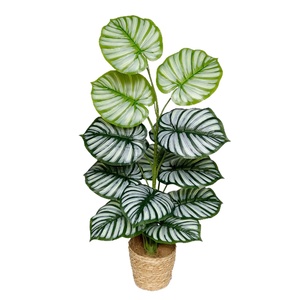 Nouvelle Collection : Ornements <span class=keywords><strong>D</strong></span>écoratifs Artisanaux en Plastique, Répliques Réalistes au Toucher, 15 Variétés <span class=keywords><strong>d</strong></span>'Alocasia Macrorrhiza pour l'Intérieur - Product Image 6